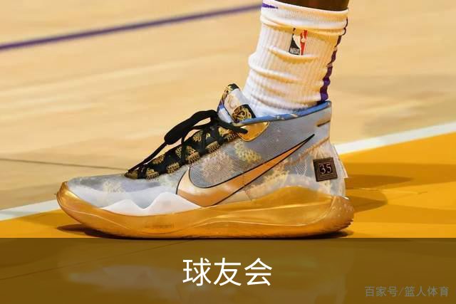 球友会公司简介图片